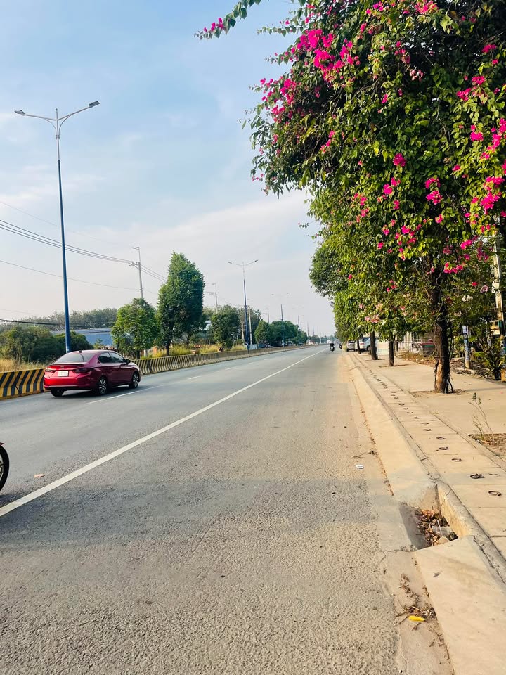 Đất nền QL13, Huyện Bàu Bàng, 1400m² chỉ 6 tỷ - Mặt tiền 11m, đầu tư sinh lời!