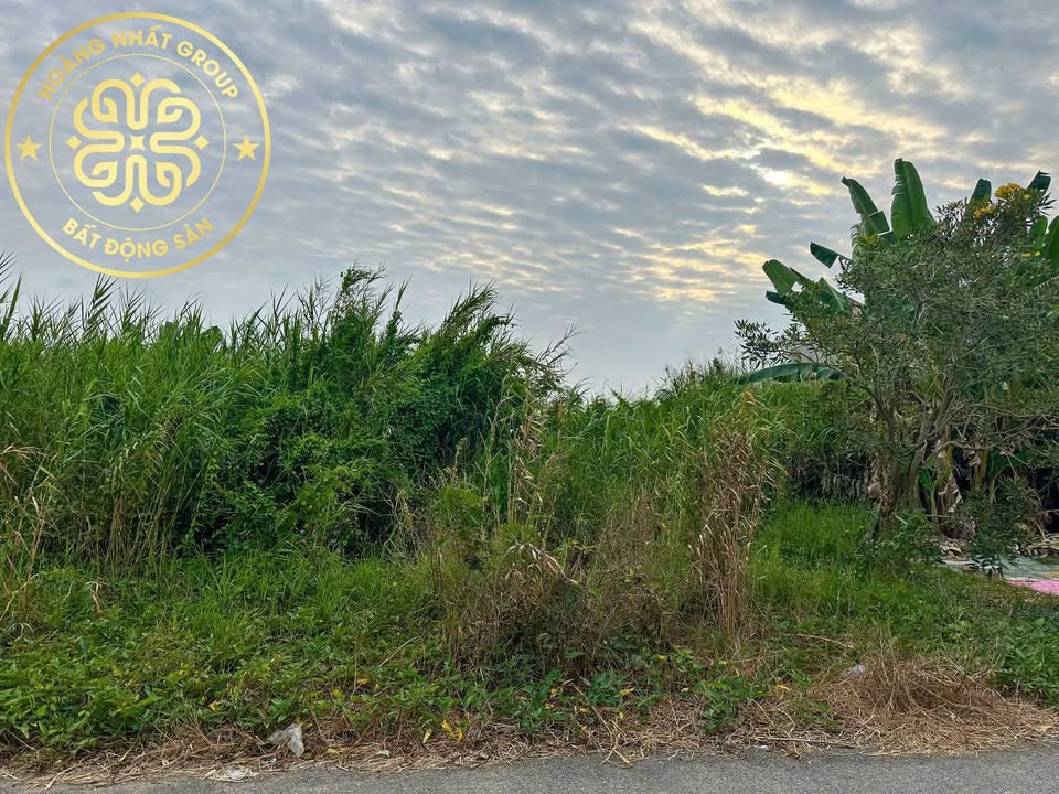 Đất nền KĐT Hoàng Tâm Cà Mau 150m² giá 1.1 tỷ - Xây dựng ngay!