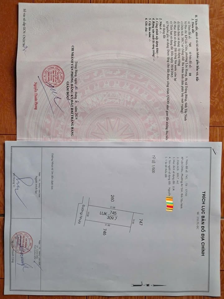 Đất nền Khu phố Lộc Châu, Tây Ninh 310m² giá 700 triệu - Thích hợp đầu tư!