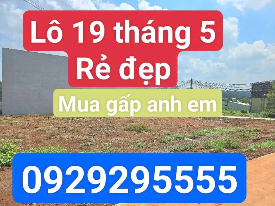 Đất Hẻm 19/5, Phường Ea Tam, 100m² giá 1.69 tỷ - Cơ hội đầu tư sinh lời!