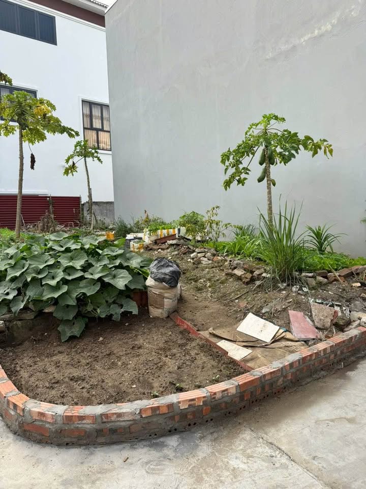 Đất nền tổ Minh Hòa, Vũ Thư 56m² giá 950 triệu - Đầu tư sinh lời ngay!