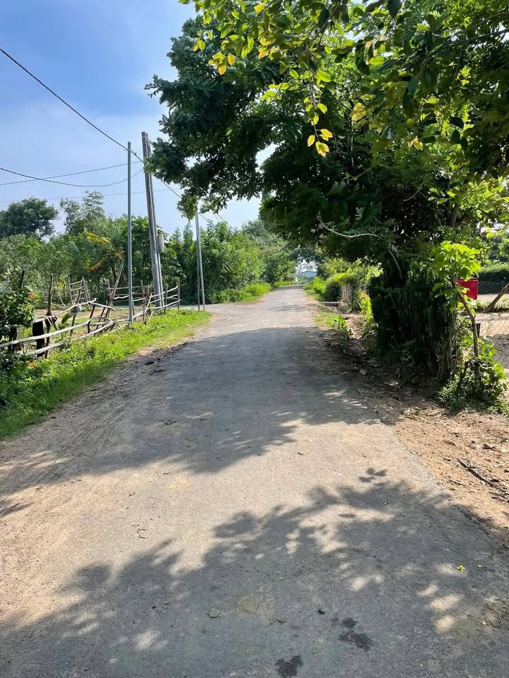 Đất nền Hòa Sơn, Krông Bông 165m² giá 155 triệu - Cơ hội đầu tư hấp dẫn!