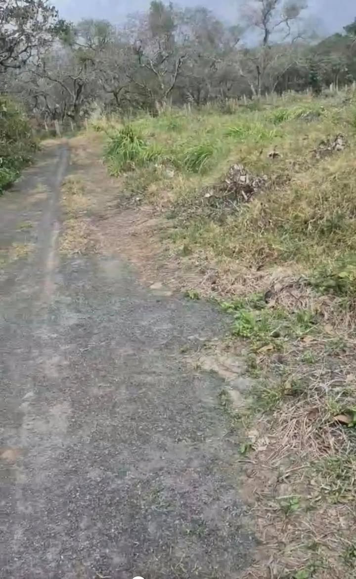 Đất nông nghiệp 5 sào 6 tại Thôn Điện Biên 2, giá chỉ 800 triệu - Sở hữu ngay!