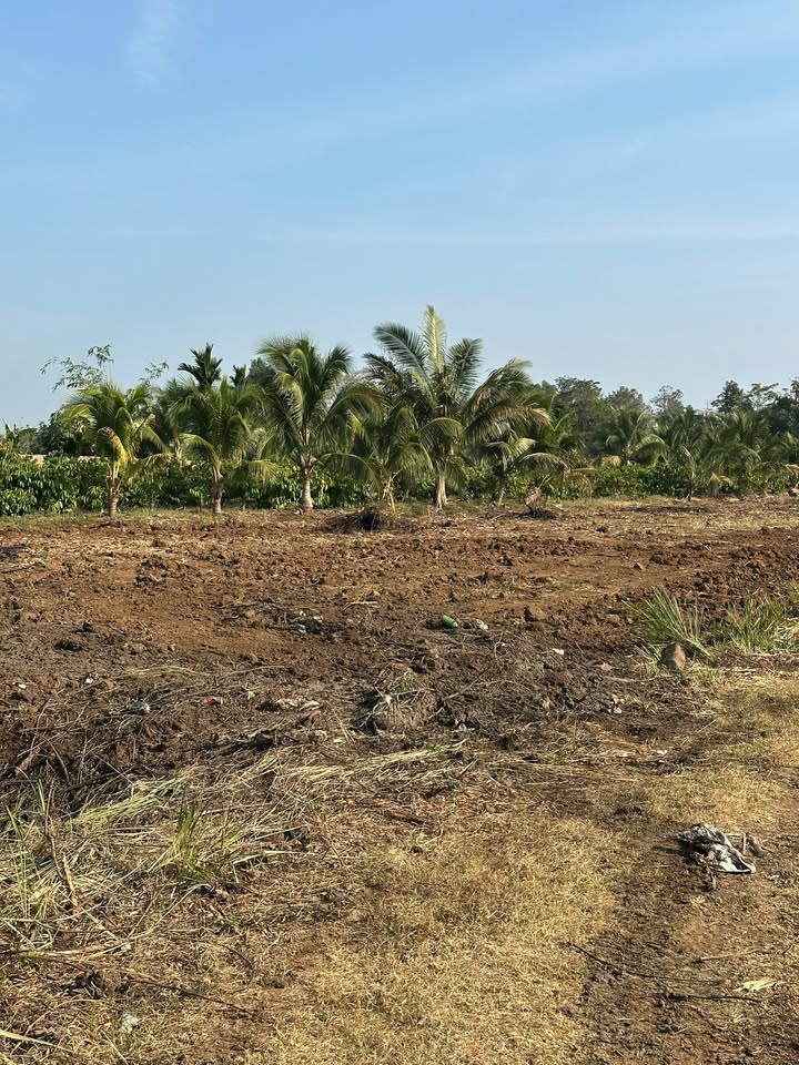 Đất nông nghiệp 1 xào tại xã Cuôr KNia, huyện Buôn Đôn - Giá chỉ 389 triệu VND