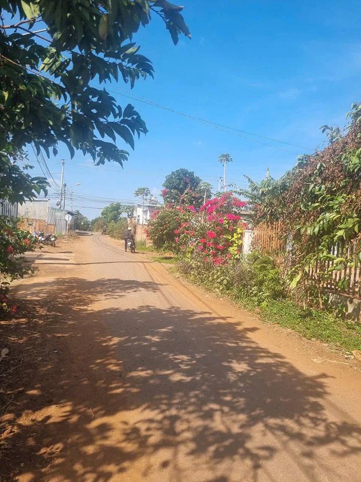 Đất nền liền kề xã Hòa Hiệp, 200m² giá 850 triệu - Đầu tư sinh lời ngay!