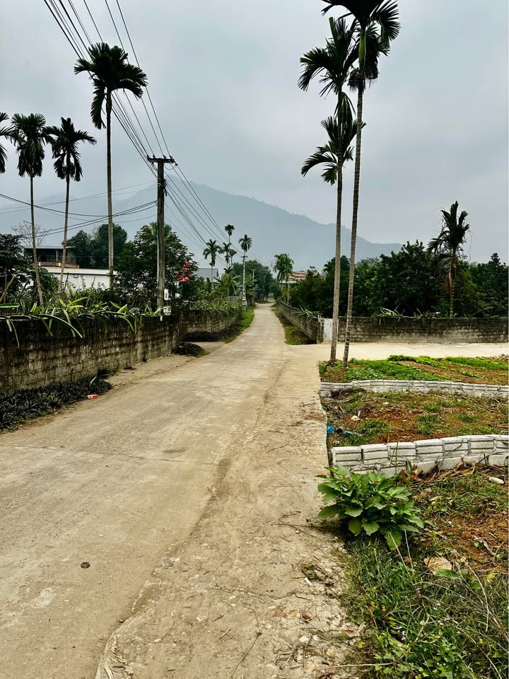 Đất thổ cư An Khang Tuyên Quang 169m² chỉ 600 triệu - Đường ô tô vào tận nơi!