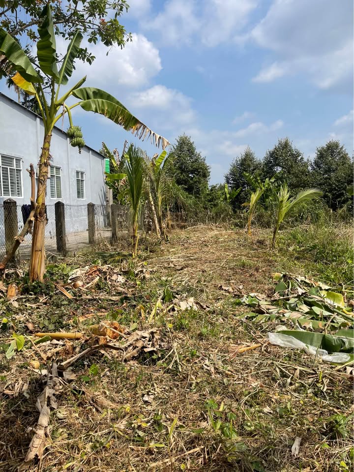 Đất nền 150m² tại Phường Trường Lạc, Quận Ô Môn giá 200 triệu - Đầu tư sinh lời ngay!