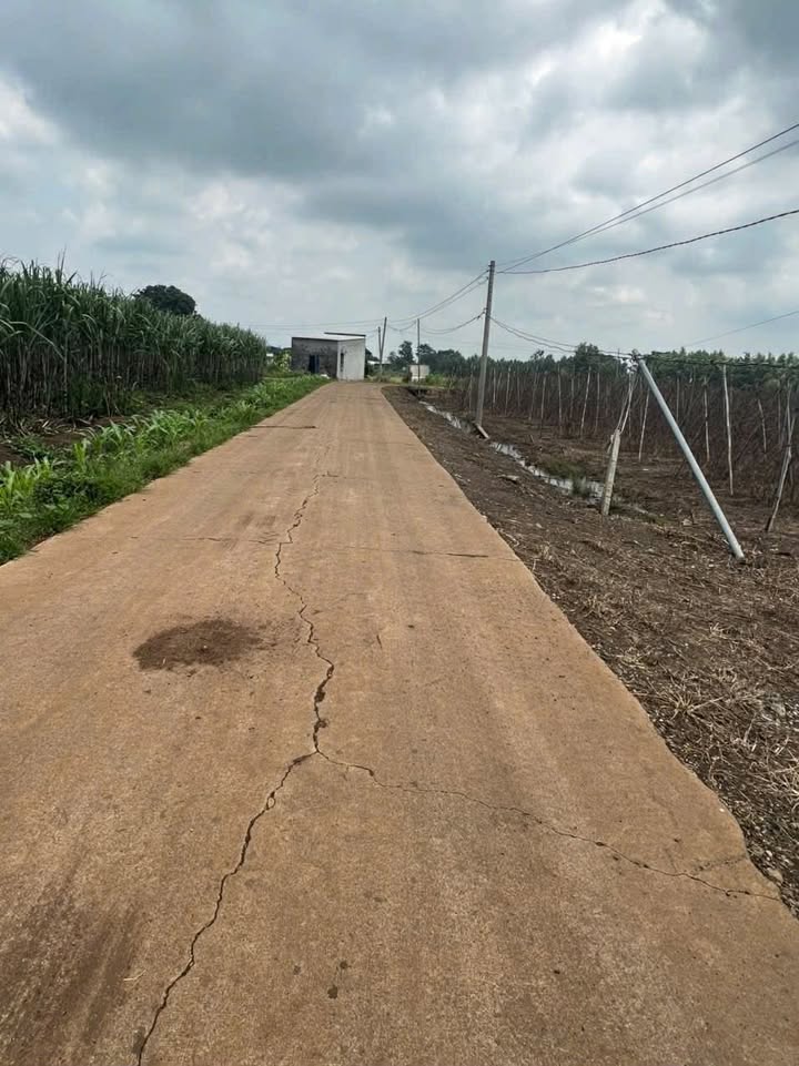 Đất nền 1000m² tại Xuân Đông, Cẩm Mỹ giá 400 triệu - Chính chủ bán gấp!