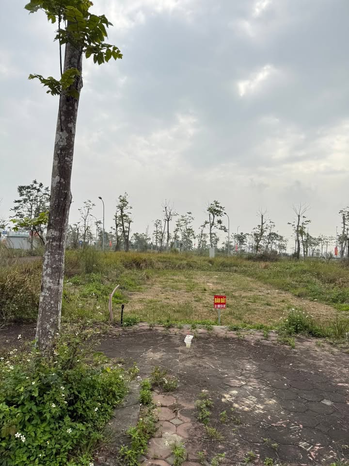 Đất nền 75m² tại thôn Phú Mỹ, Quốc Oai - Giá chỉ 70 triệu VND