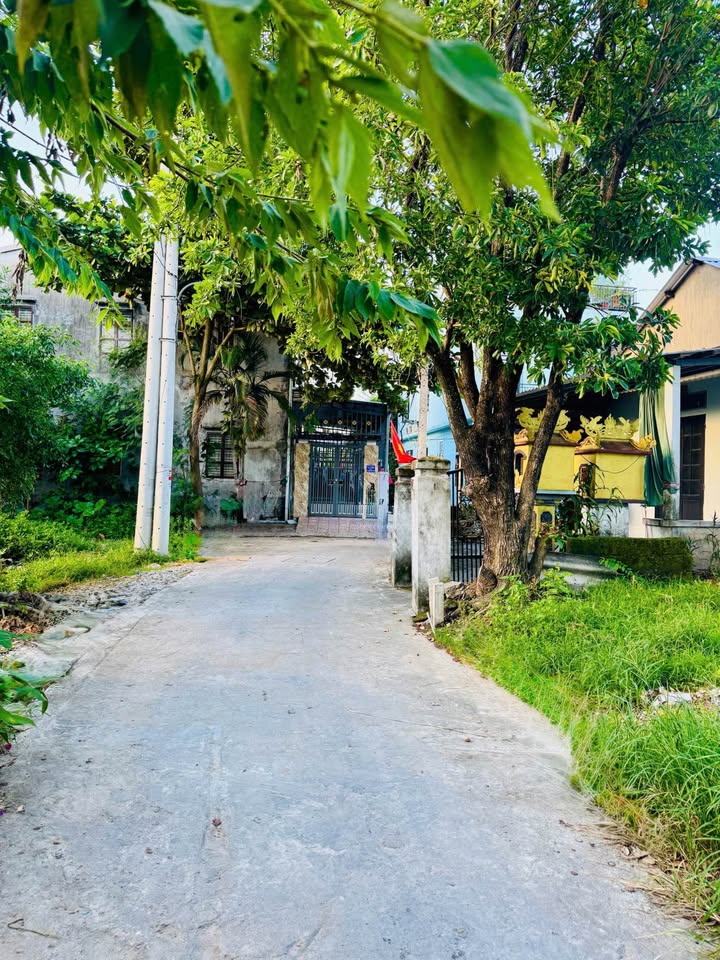 Đất nền kiệt ô tô Hoàng Quốc Việt 64m² giá 2.1 tỷ - Cơ hội đầu tư hấp dẫn!