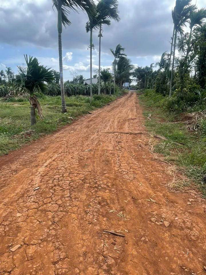 Lô đất làm nhà vườn tại hẻm vành đai 10/3, Buôn Ma Thuột 520m² - Giá tốt đầu tư!