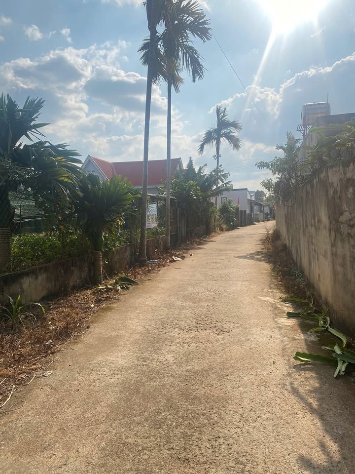 Đất thổ cư Thôn 11, Hòa Thắng, 140m² giá 1.8 tỷ - Cơ hội đầu tư tuyệt vời!