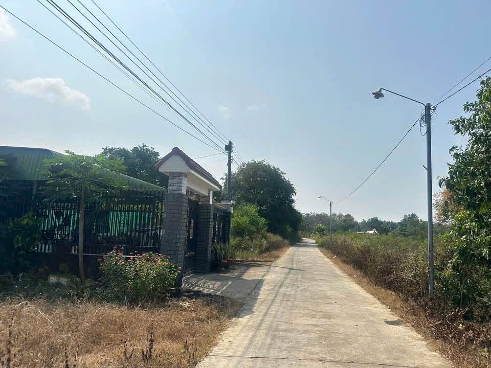 Đất liền kề mặt tiền đường bê tông tại xã Phú Hòa 750m² giá 800 triệu - Sổ hồng sẵn!