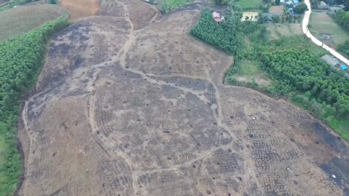 Đất nông nghiệp 5ha tại Sơn Lương, Yên Lập – Cơ hội đầu tư tuyệt vời!