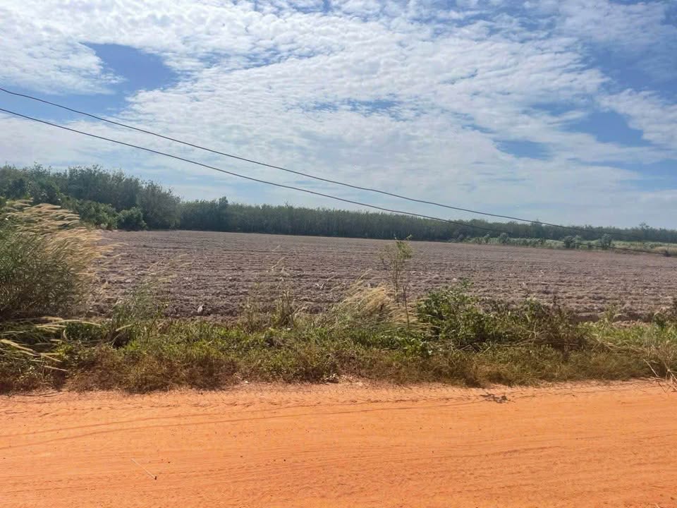 Đất cho thuê 70.800m² tại Xã Tân Bình, Huyện Tân Biên - Cơ hội đầu tư hấp dẫn!