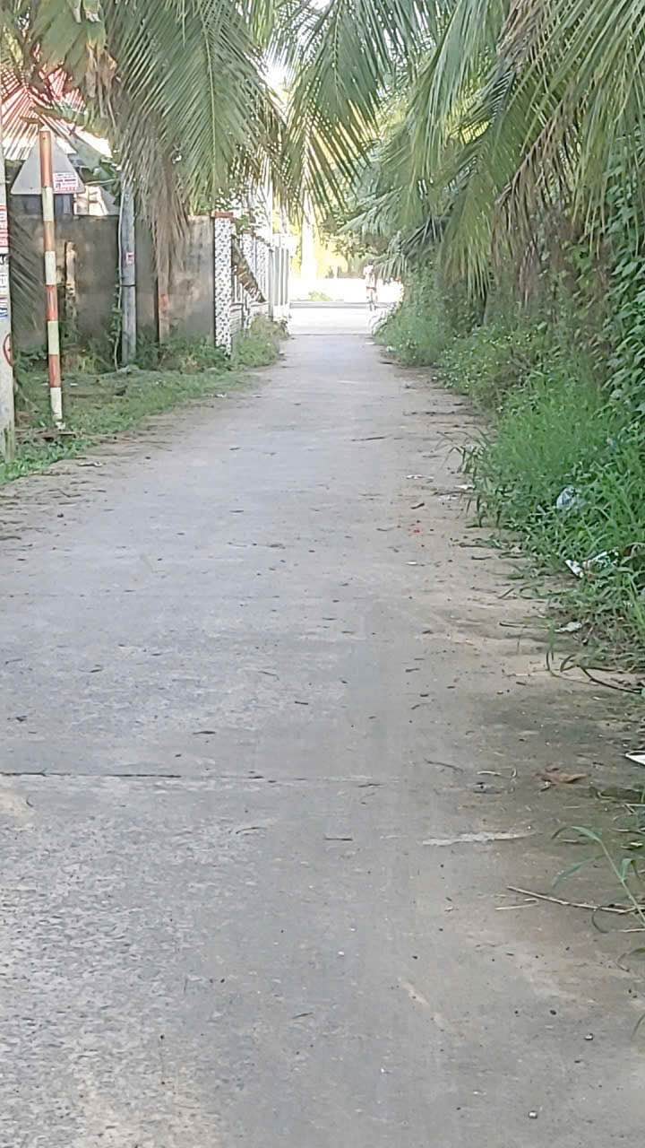 Đất vườn 1997m² tại Sơn Đông, Bến Tre - Giá tốt 1.8 tỷ