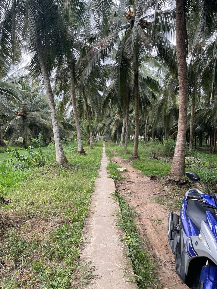 Đất vườn 3200m² xã Hưng Nhượng - Giá tốt chỉ 1.184 tỷ VND!