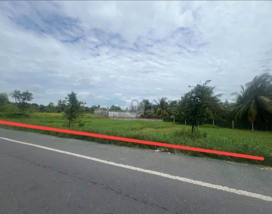 Đất mặt tiền Tl883 Huyện Châu Thành 991m² giá 5.5 tỷ - Cơ hội đầu tư tuyệt vời!