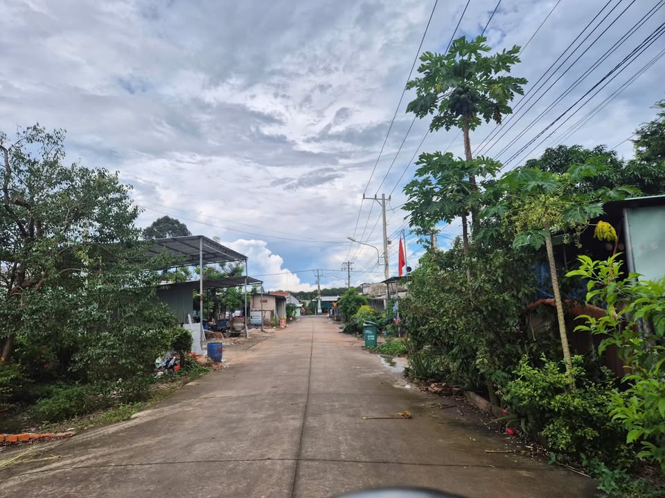 Bán đất 338m² tại Tân Hiệp, Hóc Môn - Giá chỉ 520 triệu, cơ hội đầu tư tuyệt vời!