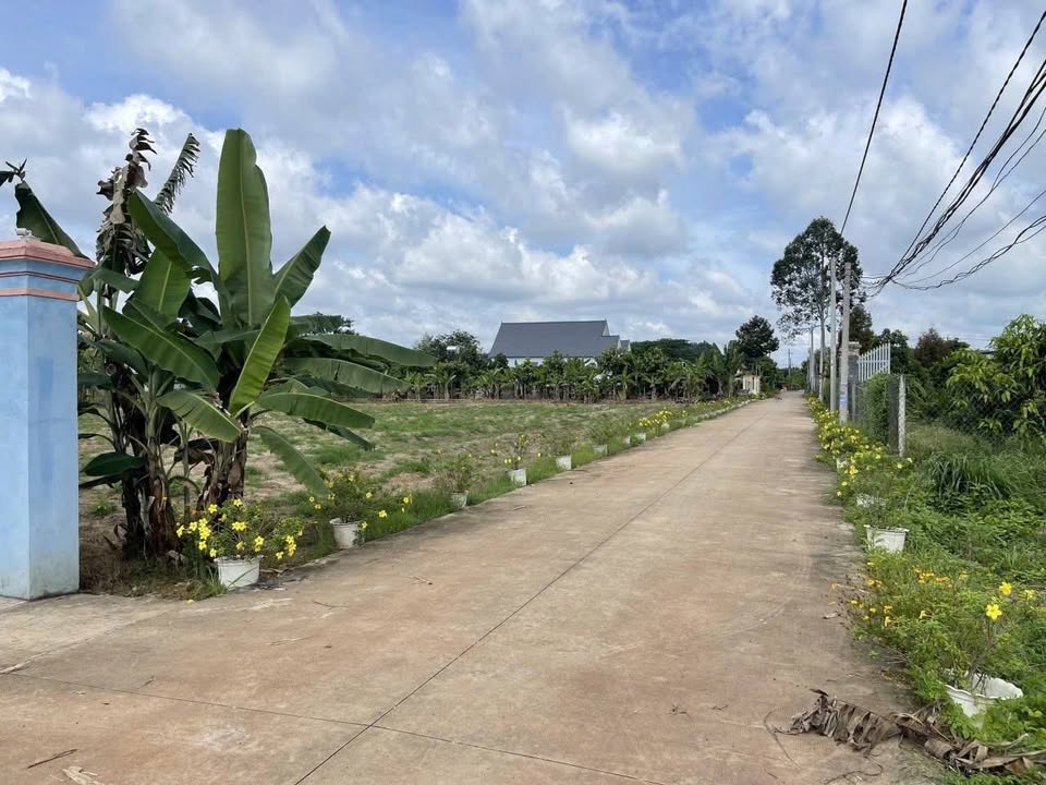 Nhà vườn Phú Giáo, Bình Dương 640m² giá 2 tỷ - Sổ hồng chính chủ!