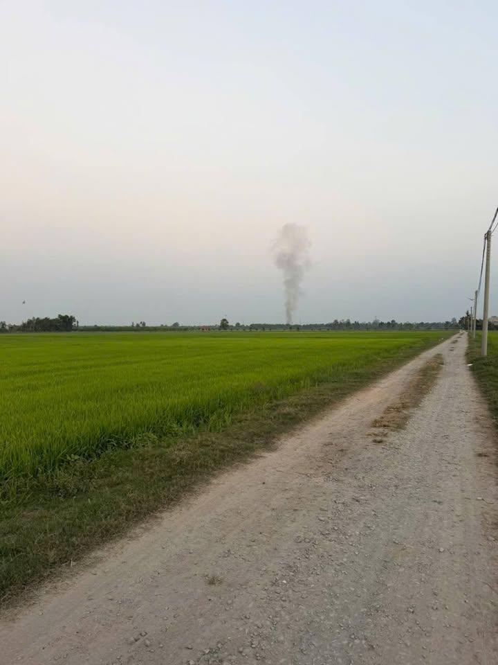 Đất thổ cư 798m² tại ấp Tân Hòa, huyện Đức Huệ - Sổ hồng chính chủ