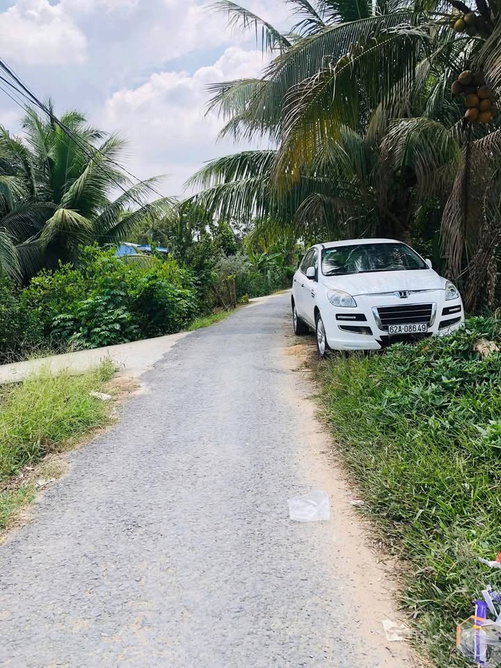 Đất nền Xã Tân Hạnh, Huyện Long Hồ 60m² giá 320 triệu - View sông tuyệt đẹp!