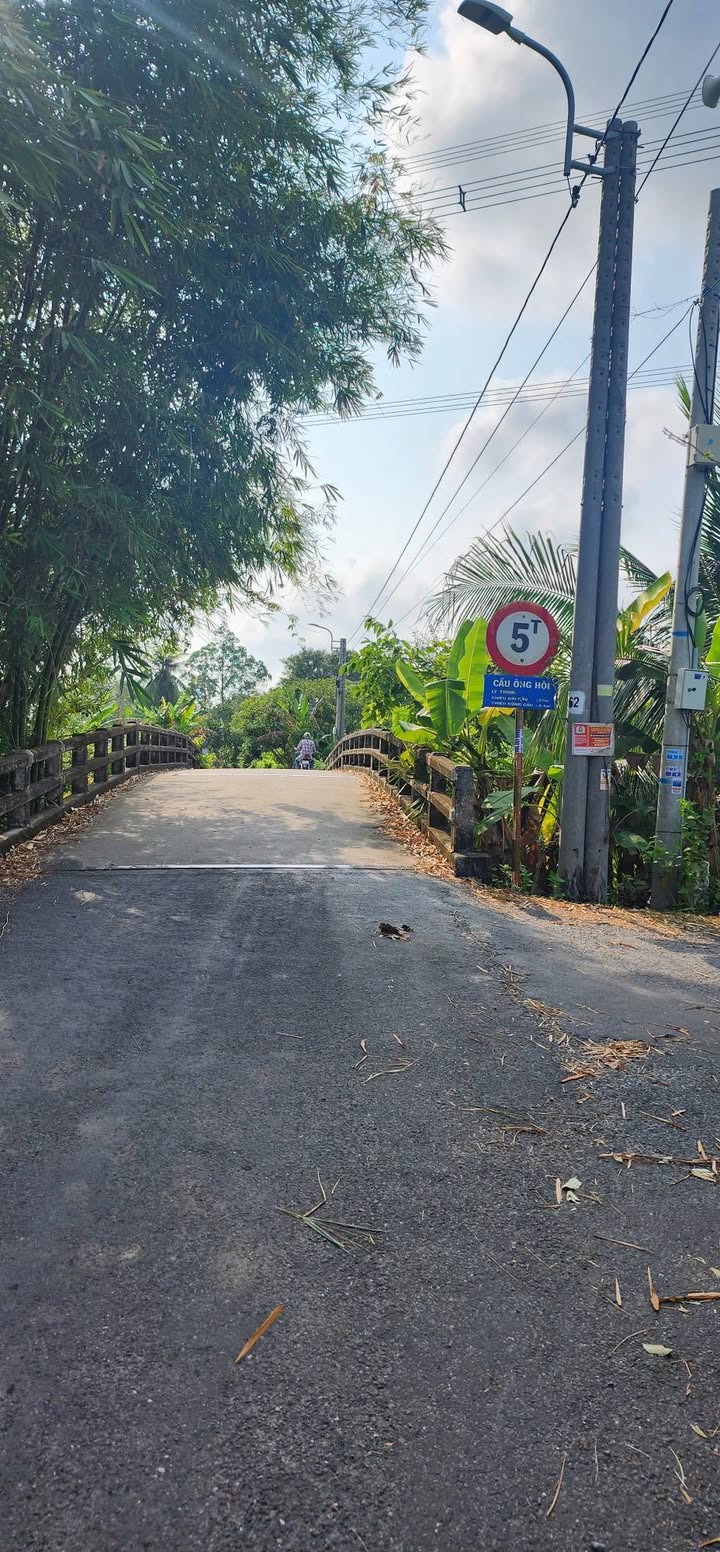 Đất mặt tiền đường nhựa Tân Ngãi 400m² giá 550 triệu - Cơ hội đầu tư tuyệt vời!