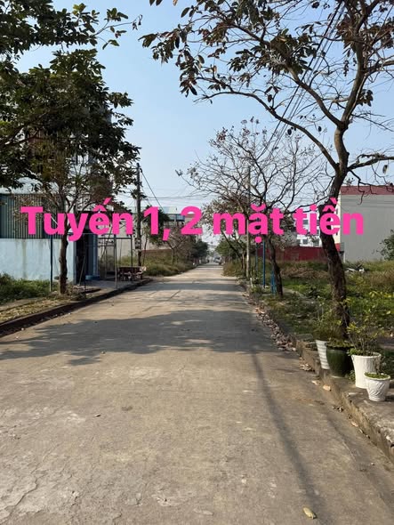 Đất nền 80m² tại Liên Minh, Vụ Bản, Nam Định - Đầu tư tiềm năng chỉ 2.5 tỷ!