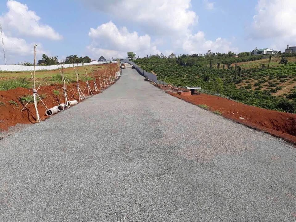 Đất nền Lộc An 115m² giá 648 triệu - Cơ hội đầu tư hiếm có!