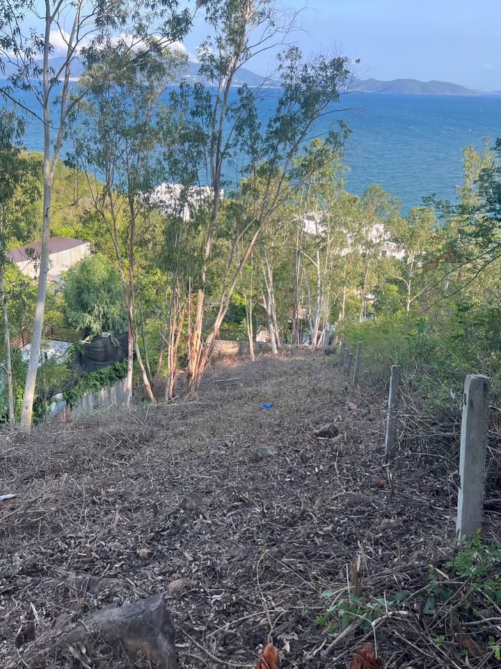 Đất nền 803m² tại Phạm Văn Đồng, Nha Trang - Cơ hội đầu tư hấp dẫn!