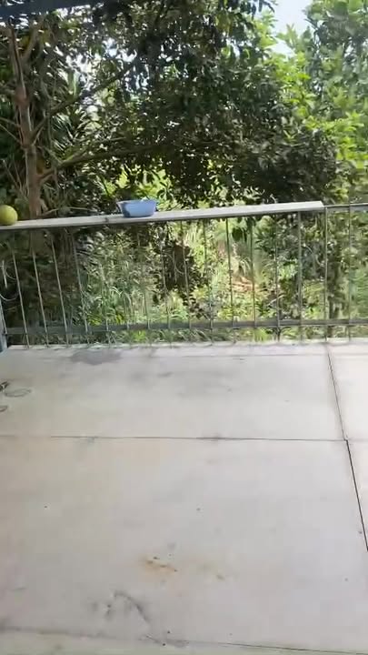 Nhà cho thuê mặt tiền Phùng Khắc Khoan, 5400m² - Nội thất đầy đủ, chỉ việc dọn vào ở!