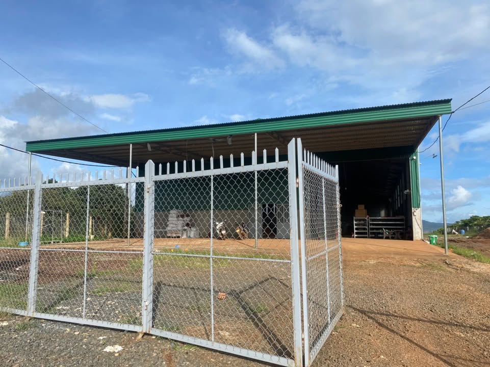 Nhà xưởng 1hec1 tại Thôn Tam Liên, Krông Năng - Giá thỏa thuận, chính chủ!