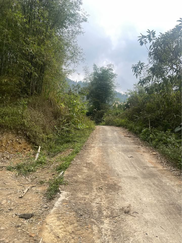 Đất rừng Thành Phố Hòa Bình 7,5ha giá 1,2 tỷ - View thoáng đẹp, dễ khai thác!