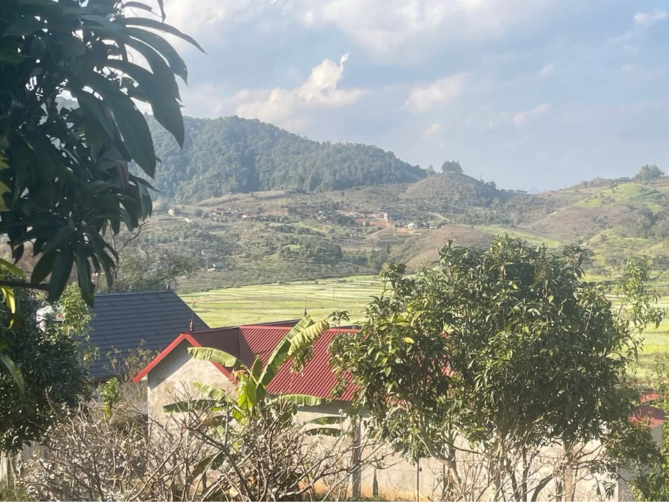 Đất thổ cư 2500m² tại Mộc Sơn, Thị xã Mộc Châu - Đầu tư sinh lời lý tưởng!