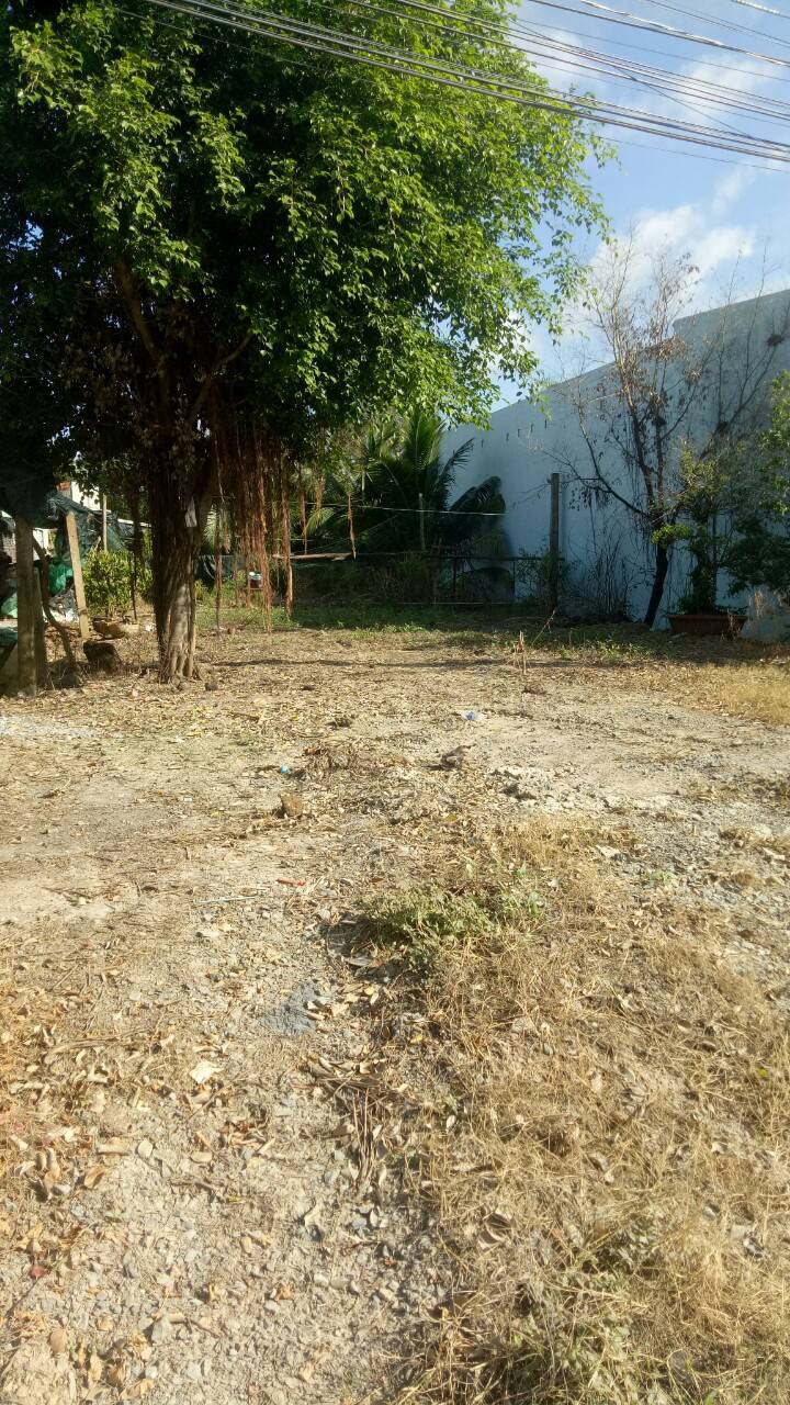 Lô đất thổ cư mặt tiền Nguyễn Văn Quá, Tân An 287m² giá 3.2 tỷ - Đầu tư sinh lời!