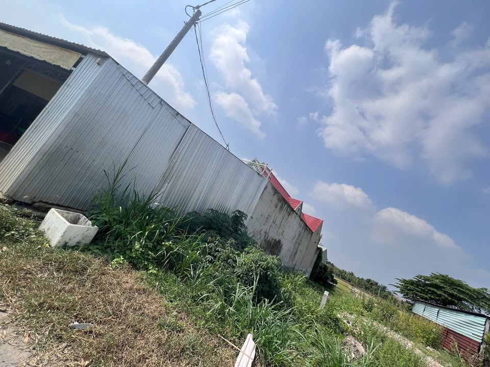 Nhà mặt tiền đường Nguyễn Thị Hạnh, xã Hậu Nghĩa, 450m² - Vị trí đắc địa, kinh doanh thuận lợi!