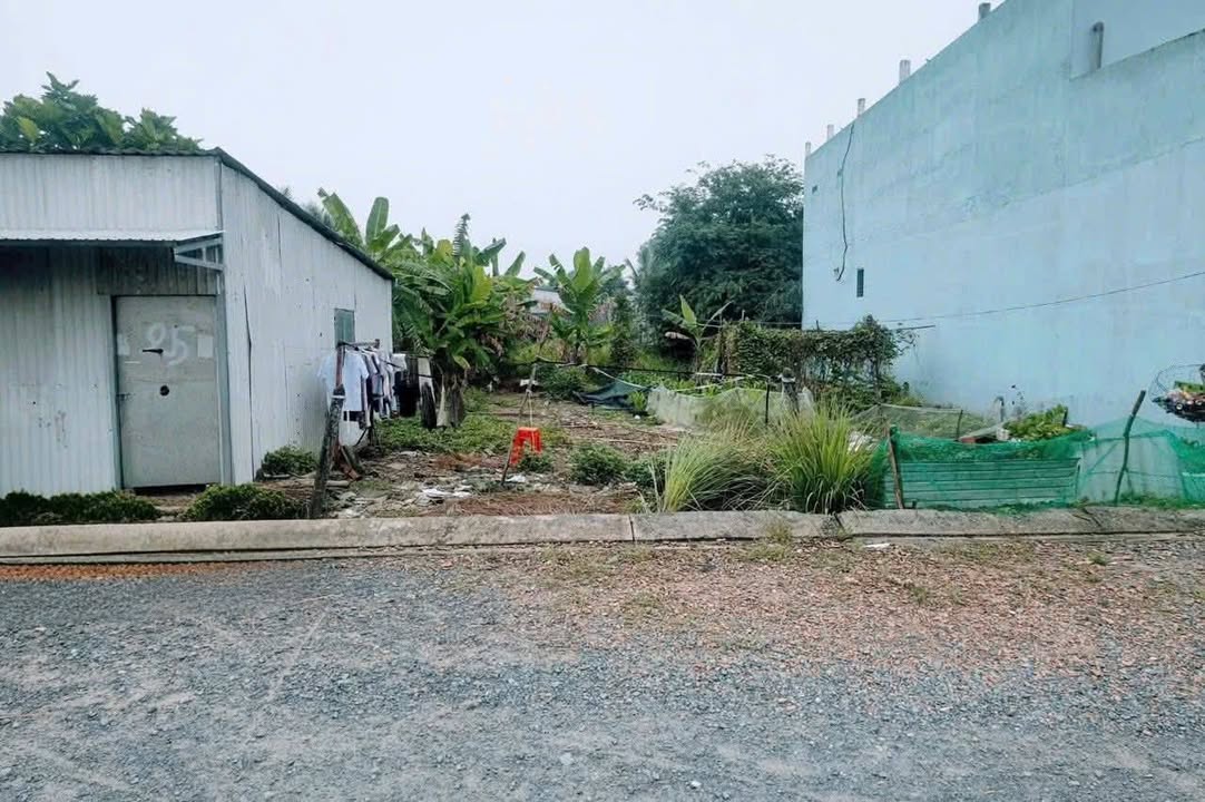 Đất nền Voi Lá, Xã Long Hiệp, Huyện Bến Lức 100m² giá 1.35 tỷ - Thích hợp an cư lập nghiệp!