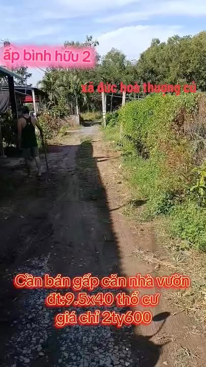 Nhà vườn 380m² tại Ấp Bình Hữu 2, Đức Hòa Thượng chỉ 2.6 tỷ - Sổ hồng chính chủ!