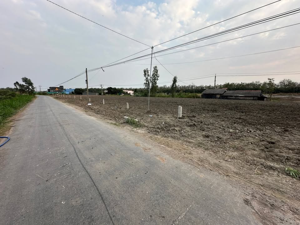 Đất nền mặt tiền đường nhựa huyện lộ 08, Tiền Giang 160m² giá chỉ 390 triệu - Sổ đỏ chính chủ