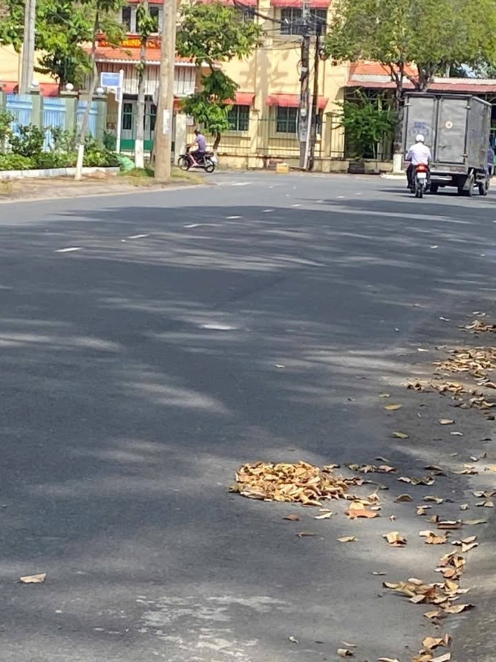 Đất nền mặt tiền đường Phạm Hữu Lầu, 154m² giá 3 tỷ - Tiềm năng kinh doanh cao!