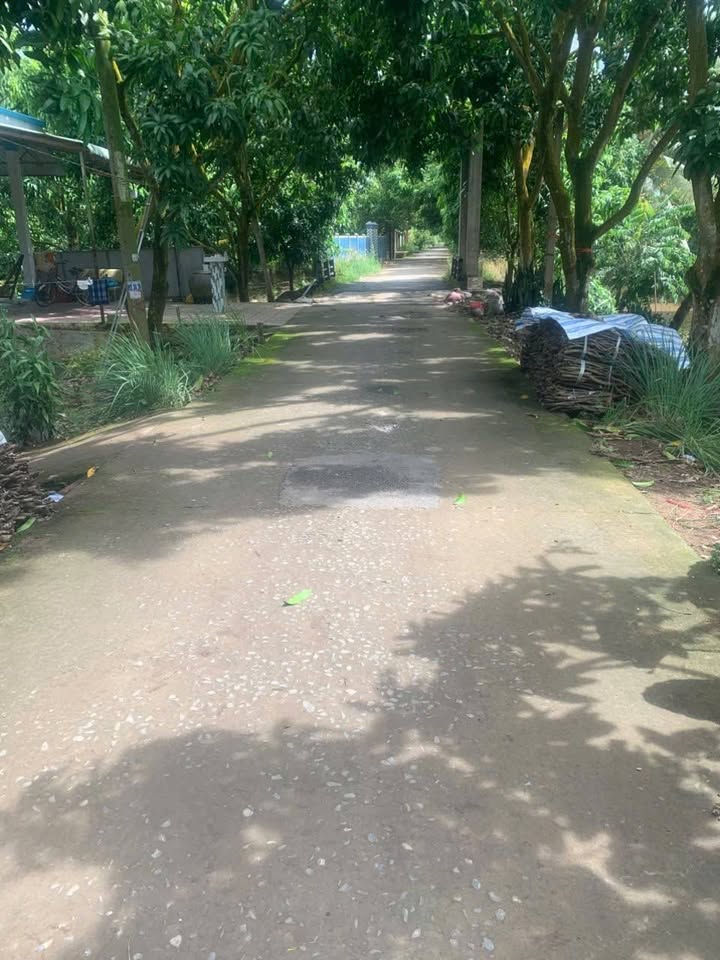 Đất nền mặt tiền ấp Hoà Long, Cao Lãnh 340m² giá 1.4 tỷ - Cơ hội đầu tư tuyệt vời!