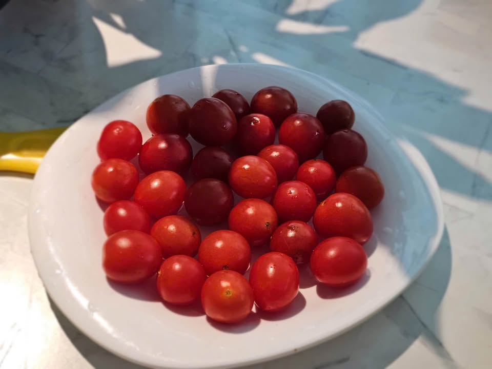 Lô Đất Đầu Tư Gốc Lim Đằng Hải 90m² giá 2.97 tỷ - Sổ đỏ chính chủ!