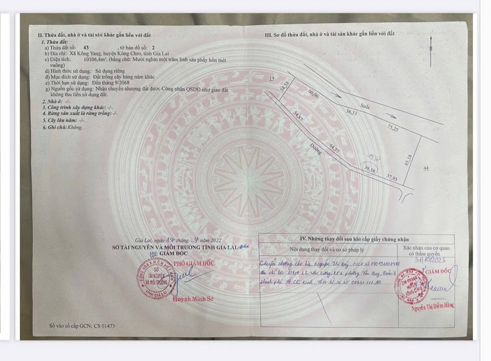 Đất mặt tiền đường bê tông xã Kông Yang 1.3ha giá chỉ 800 triệu - Cơ hội đầu tư hấp dẫn!