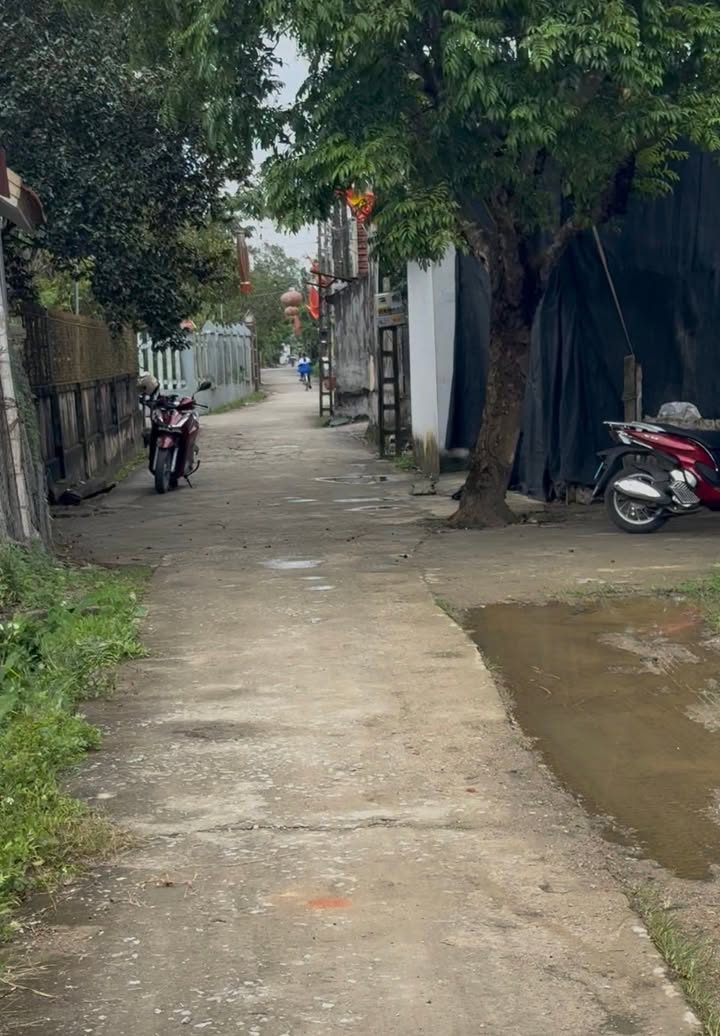 Đất nền 100m² xã Ý Yên, Ninh Bình - Giá chỉ 1 tỷ, đường ô tô vào tận nơi!