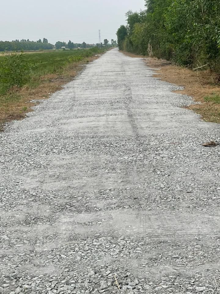 Đất nền Thủy Đông, Thạnh Hóa, Long An 1200m² giá 4.2 tỷ - Đường xe tải tới đất!