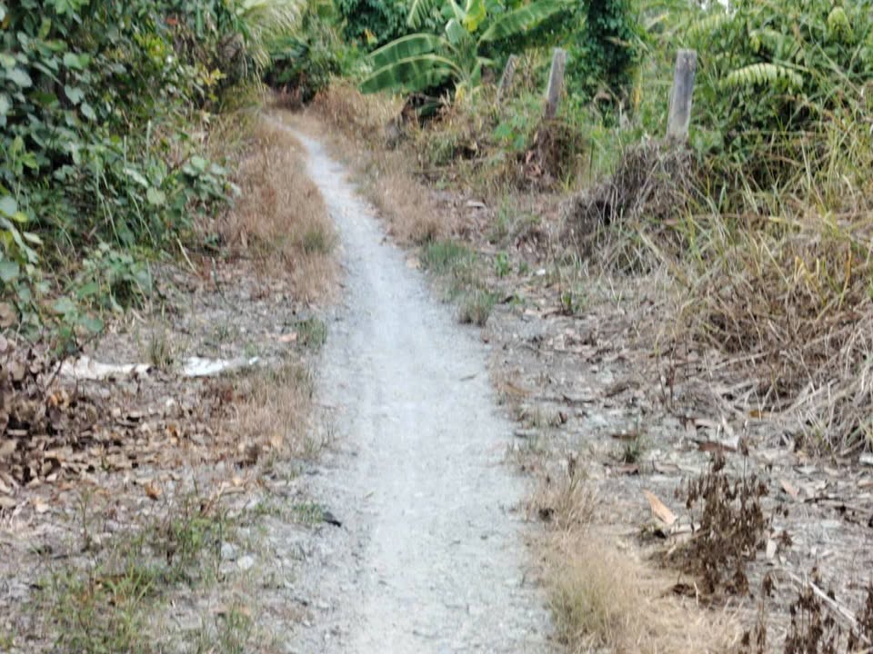 Đất vườn 5300m² xã Hậu Thạnh giá 4.2 tỷ - Cơ hội đầu tư tuyệt vời!