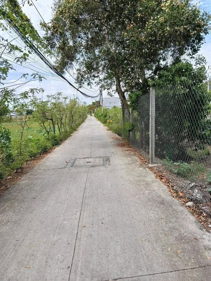 Đất thổ cư mặt tiền Đan Xe Tải, Bình Chánh 101m² giá 2.4 tỷ - Cơ hội đầu tư hấp dẫn!