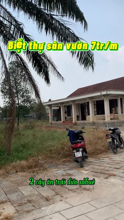 Biệt thự sân vườn An Thạnh, Thủ Đức 3000m² giá 21 tỷ - Sống gần gũi thiên nhiên!