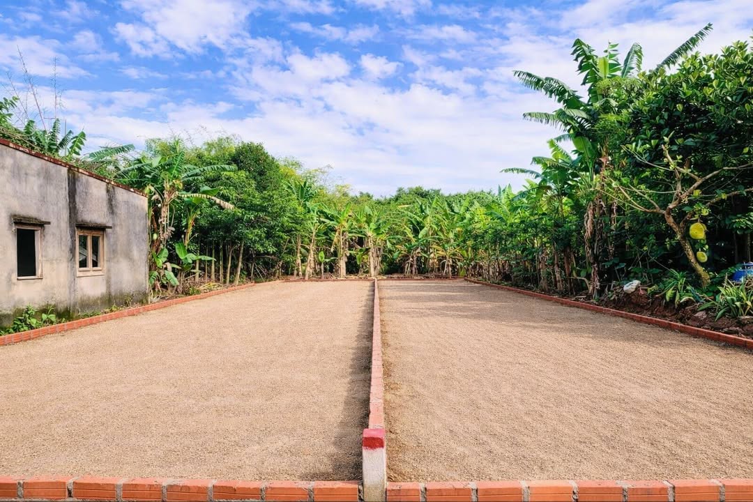 Đất nền Điện Hồng - Điện Bàn 150m² giá chỉ 600 triệu - Sổ đỏ chính chủ!