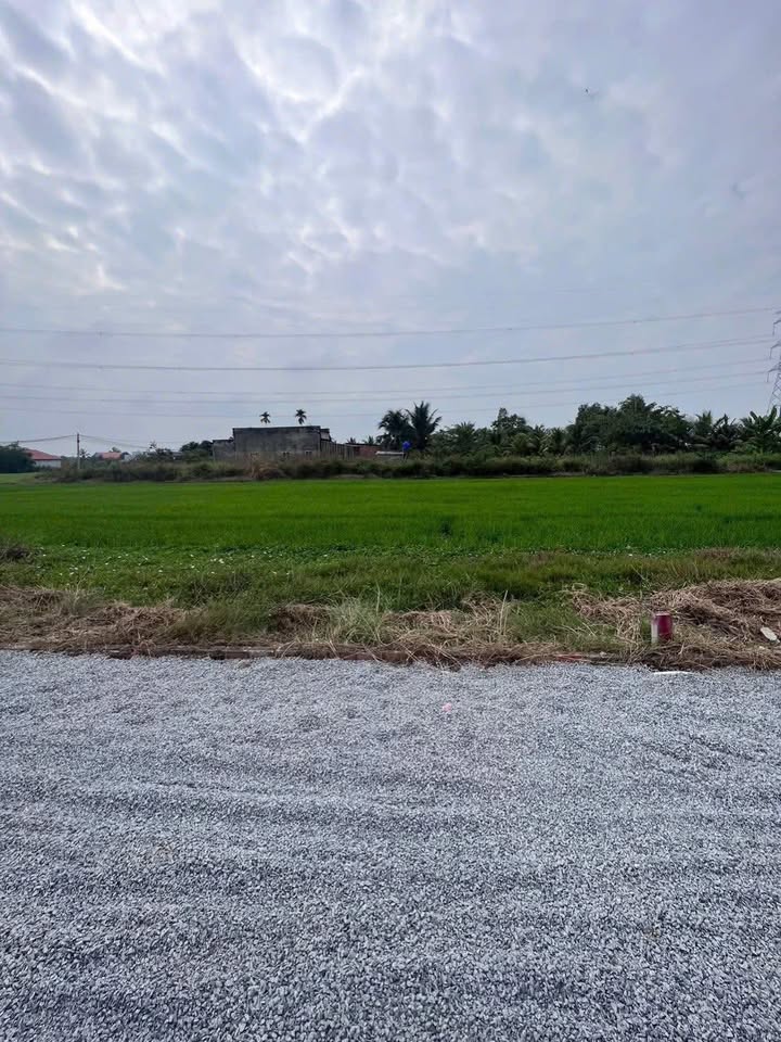 Đất nền Đức Hòa Long An 145m² giá 750 triệu - Đầu tư sinh lời ngay!